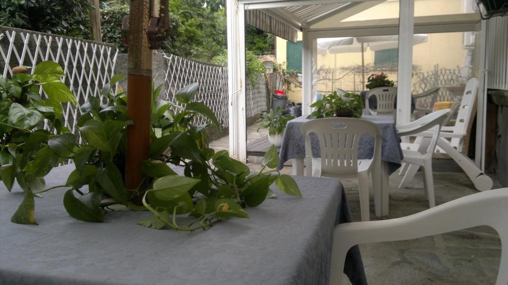 Le Conchiglie Hotell Levanto Eksteriør bilde